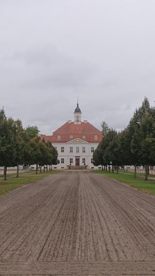 Fewo In Neustadt/Dosse, Der Stadt Der Pferde Leddin Zewnętrze zdjęcie